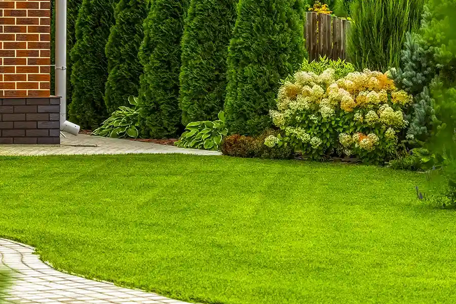 Affordable Lawn Care Sacramento, CA Affordable Lawn Care Sacramento, CA