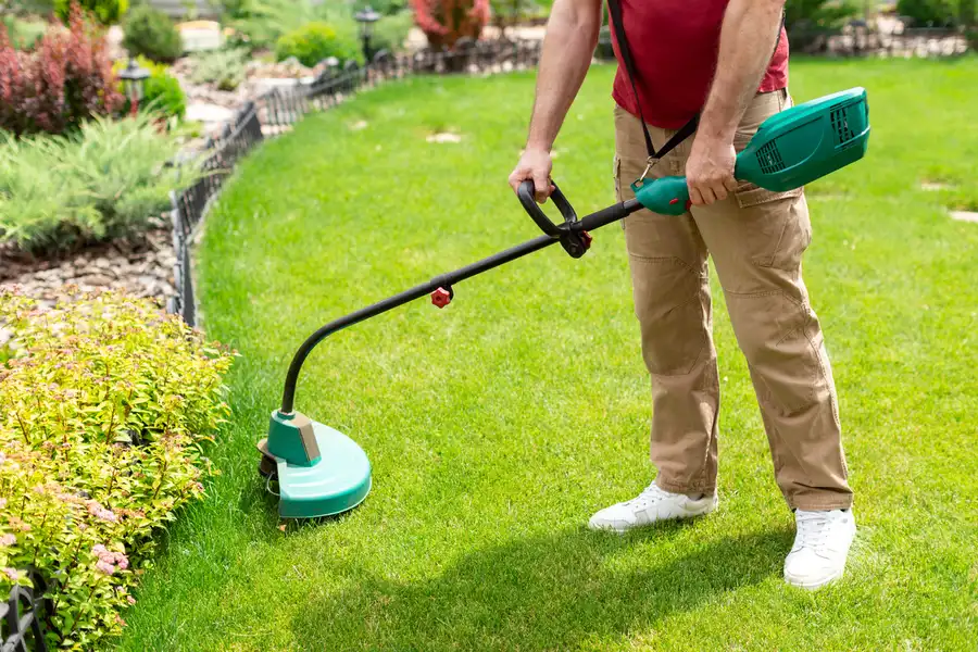 Experienced Lawn Care Sacramento, CA Experienced Lawn Care Sacramento, CA