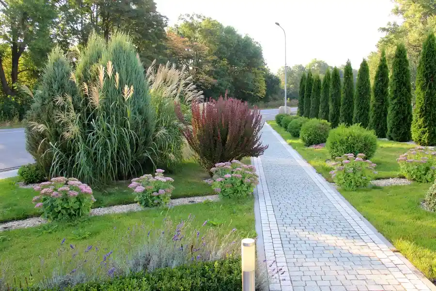 Expert Landscape Maintenance Sacramento, CA Expert Landscape Maintenance Sacramento, CA