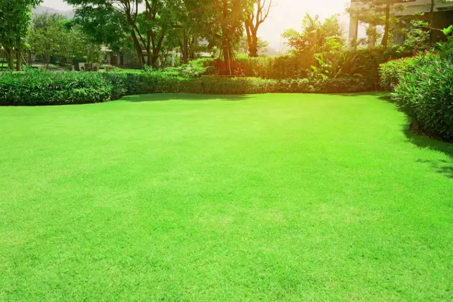 How Consistent Landscape Maintenance Improves Property Aesthetics Sacramento, CA How Consistent Landscape Maintenance Improves Property Aesthetics Sacramento, CA