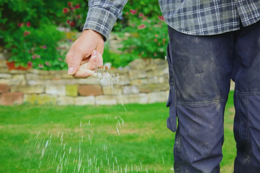 How Lawn Fertilization Prevents Weeds And Pests Naturally Sacramento, CA How Lawn Fertilization Prevents Weeds And Pests Naturally Sacramento, CA