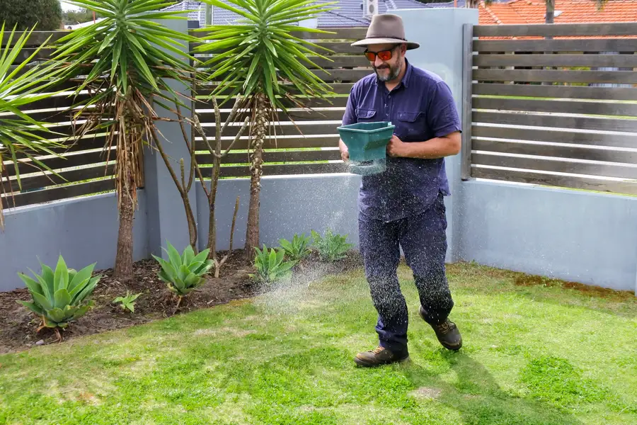 How Seasonal Changes Affect Lawn Fertilization Needs Sacramento, CA How Seasonal Changes Affect Lawn Fertilization Needs Sacramento, CA