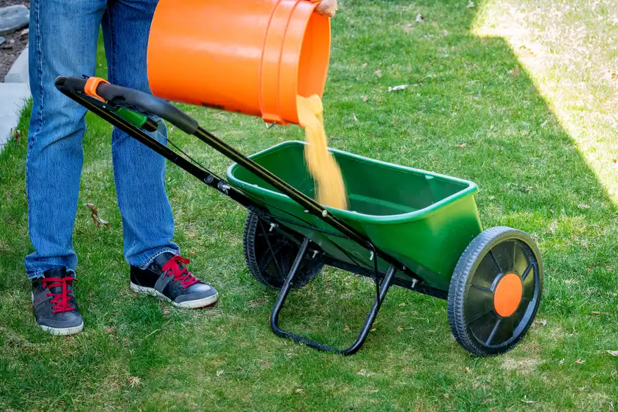 How Seasonal Changes Affect Lawn Fertilization Needs in Sacramento, CA How Seasonal Changes Affect Lawn Fertilization Needs in Sacramento, CA