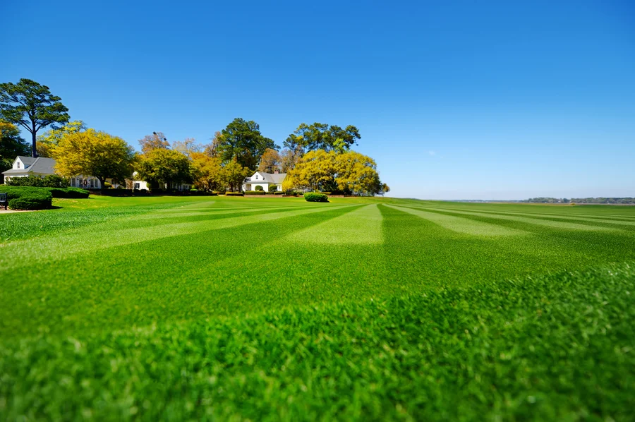 Lawn Care Mistakes To Avoid For A Healthier Lawn in Sacramento, CA Lawn Care Mistakes To Avoid For A Healthier Lawn in Sacramento, CA