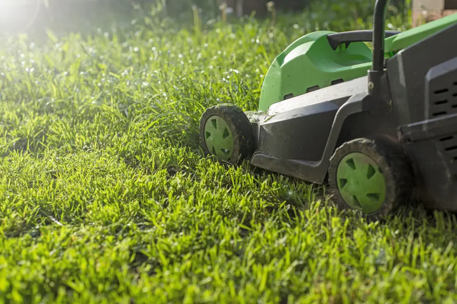 Lawn Mowing Tips To Enhance Curb Appeal And Value in Sacramento, CA Lawn Mowing Tips To Enhance Curb Appeal And Value in Sacramento, CA