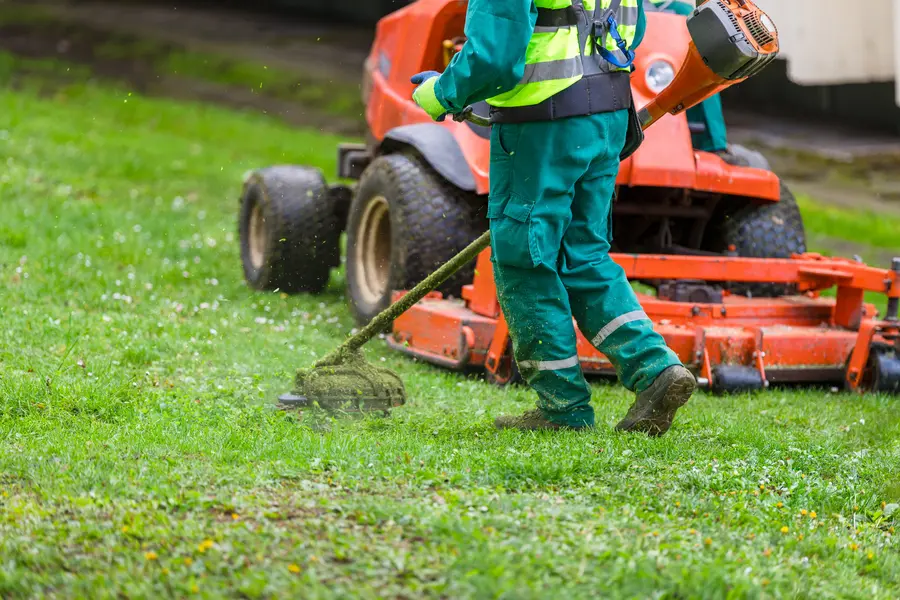 Professional Lawn Mowing Sacramento, CA Professional Lawn Mowing Sacramento, CA