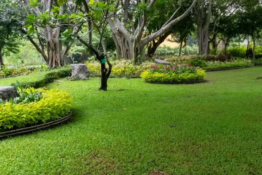 Reliable Landscape Maintenance Sacramento, CA Reliable Landscape Maintenance Sacramento, CA