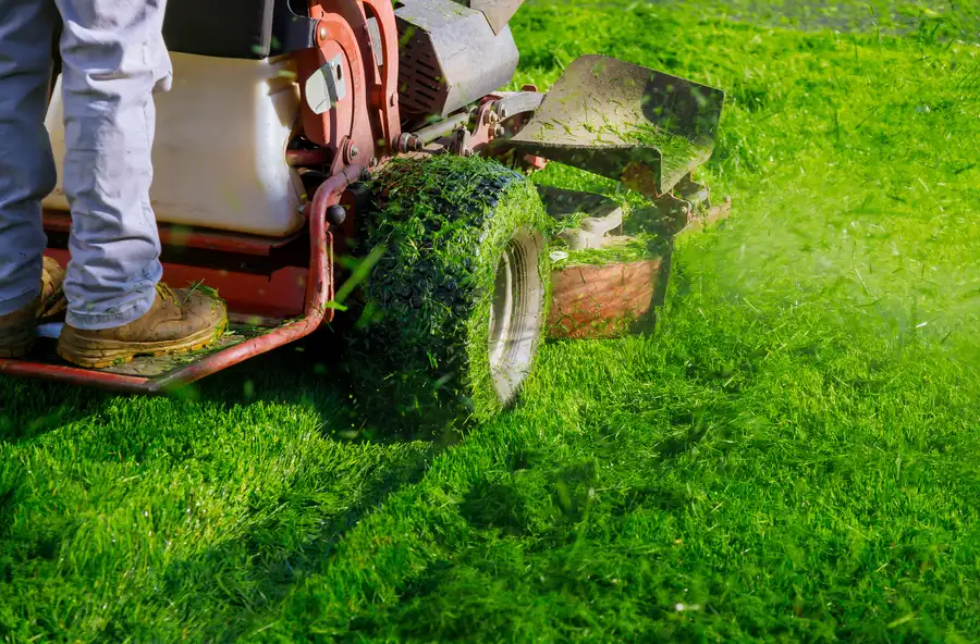 Superior Lawn Mowing Sacramento, CA Superior Lawn Mowing Sacramento, CA