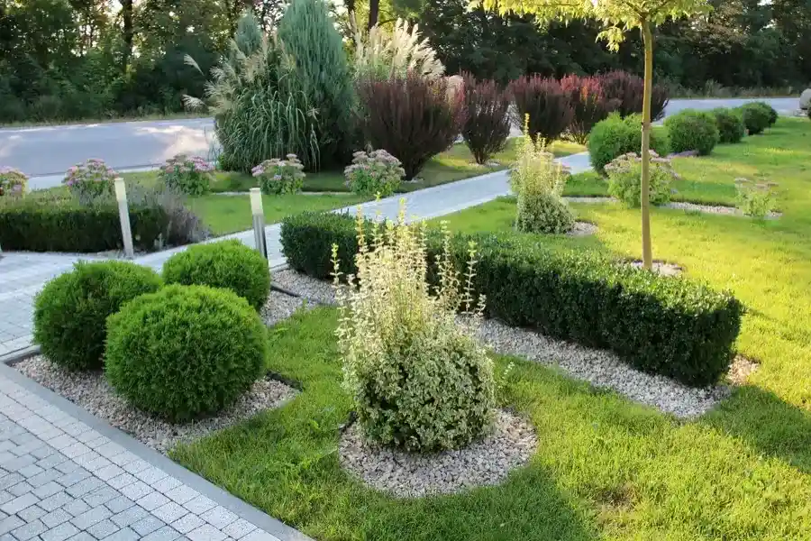 The Role Of Landscape Maintenance In Promoting Sustainability in Sacramento, CA The Role Of Landscape Maintenance In Promoting Sustainability in Sacramento, CA