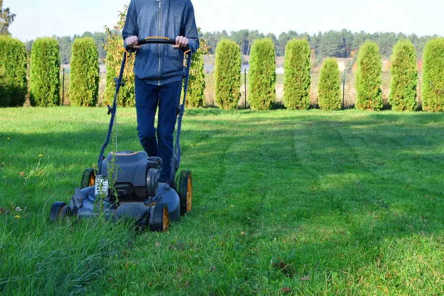 The Role Of Regular Lawn Mowing In Healthy Grass Growth Sacramento, CA The Role Of Regular Lawn Mowing In Healthy Grass Growth Sacramento, CA