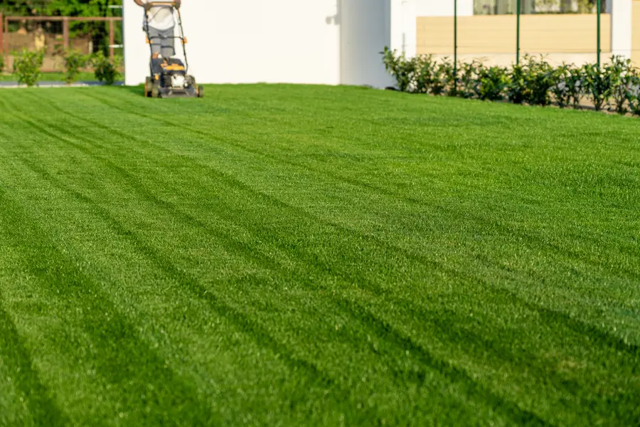 The Role Of Regular Lawn Mowing In Healthy Grass Growth in Sacramento, CA The Role Of Regular Lawn Mowing In Healthy Grass Growth in Sacramento, CA